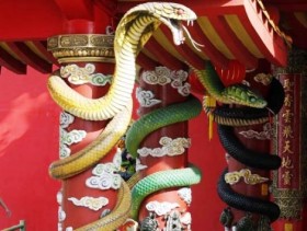Quan niệm về rắn ở Việt Nam và các nước trên thế giới