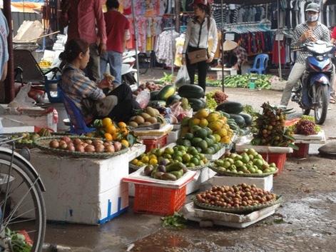 Hoa quả Trung Quốc "đội lốt" hoa quả Việt Nam