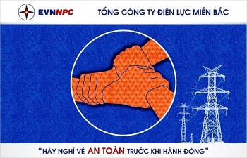 Bức tranh dấu vân tay của EVNNPC xác lập kỷ lục Việt Nam