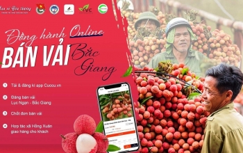 Chiến dịch tình nguyện "Đồng hành online - bán vải Bắc Giang"