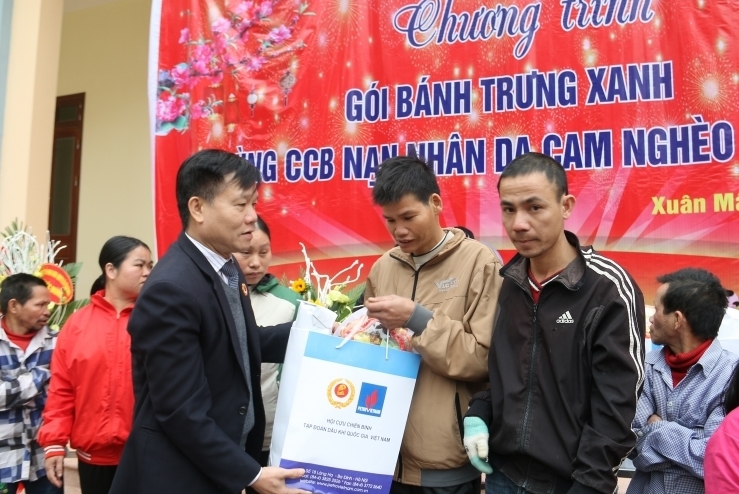 Năm hành động vì nạn nhân chất độc da cam/dioxin Việt Nam