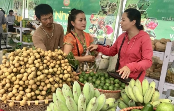 Nhãn và nông sản an toàn Sơn La đến với người tiêu dùng Thủ đô