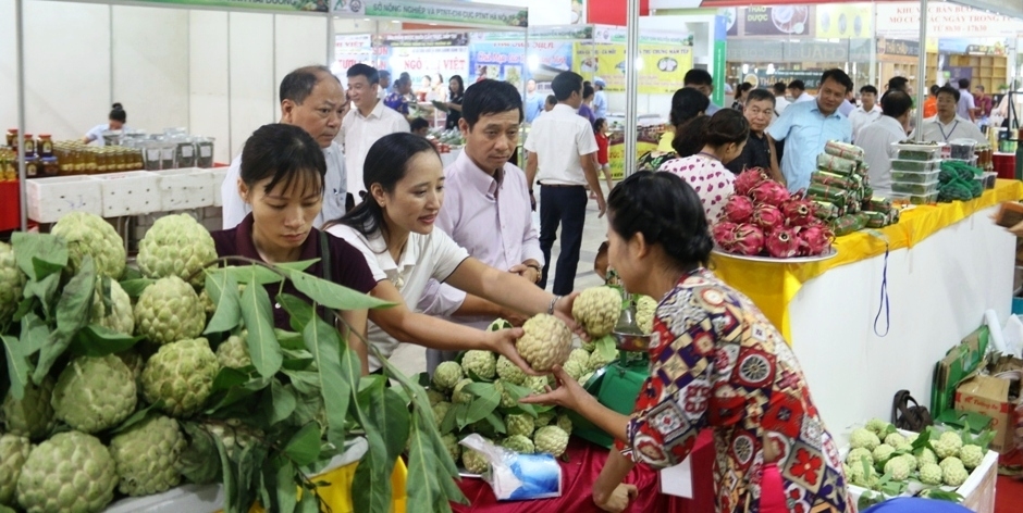 dua na chi lang va dac san lang son den tay nguoi tieu dung thu do