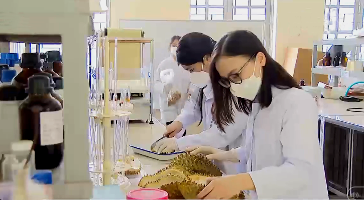 Sinh viên Bách khoa chế tạo vật liệu thu dầu tràn từ vỏ sầu riêng