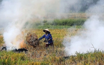 Từ năm 2021, Hà Nội sẽ chấm dứt tình trạng đốt rơm rạ