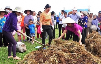 Ứng dụng khoa học và công nghệ xử lý rơm rạ thành phân bón vi sinh