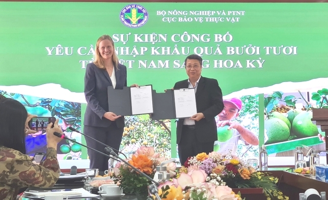Trái bưởi Việt Nam chính thức được xuất khẩu vào Hoa Kỳ