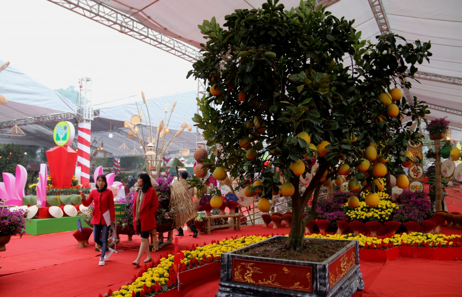 hon 300 gian hang tham gia festival san pham nong nghiep va lang nghe ha noi