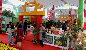 Hơn 300 gian hàng tham gia Festival Sản phẩm nông nghiệp và làng nghề Hà Nội