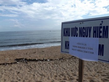 Cấm tắm biển Tuy Hòa vì cá lạ dài 4m xuất hiện