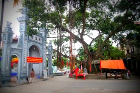 Hà Nội: Vinh danh cây Di sản Việt Nam tại quận Tây Hồ