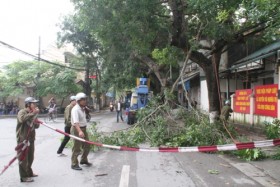 Hà Nội: Gấp rút triển khai công tác phòng chống bão