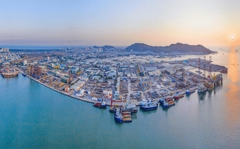 PTSC nghiên cứu phương án phát triển cụm căn cứ cảng hạ lưu Vũng Tàu