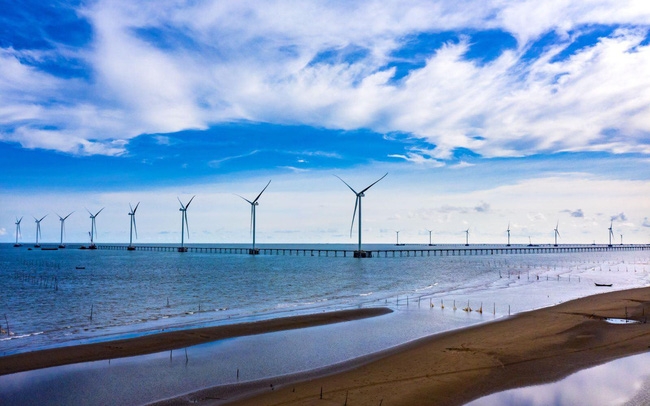 REE thành lập công ty con quản lý dự án điện gió 48 MW ở Trà Vinh
