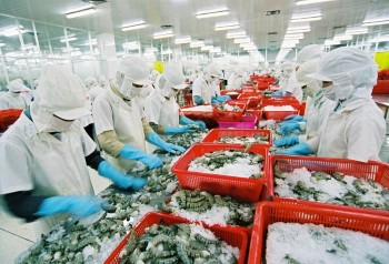 Nhật Bản cảnh báo chất lượng thủy sản của Việt Nam