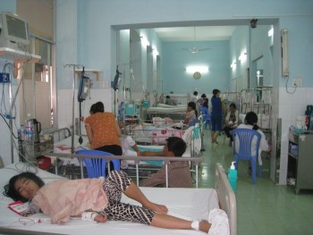TP HCM: Trường hợp thứ hai tử vong do sốt xuất huyết