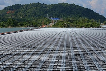 Tin tức kinh tế ngày 7/6: Sắp đưa vào vận hành hơn 30 nhà máy điện mặt trời