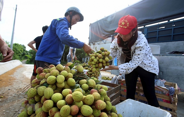 tin tuc kinh te ngay 76 sap dua vao van hanh hon 30 nha may dien mat troi