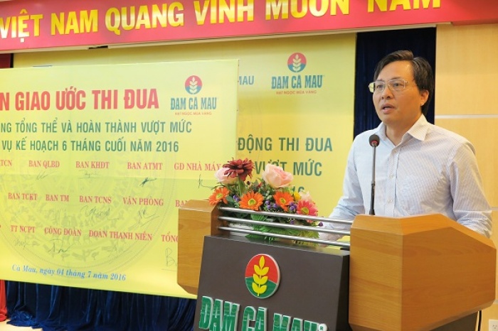 pvcfc phat dong thi dua 6 thang cuoi nam 2016