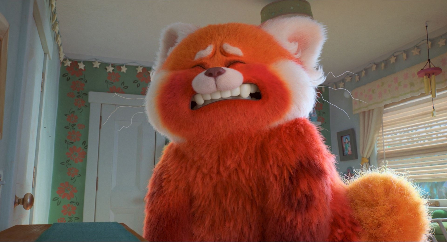 Pixar "nhá hàng" bộ phim Gấu đỏ biến hình siêu đáng yêu
