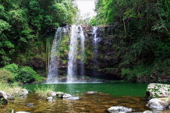 UNESCO công nhận thêm 2 khu dự trữ sinh quyển thế giới tại Việt Nam
