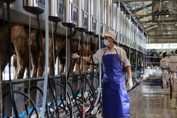 Tin tức kinh tế ngày 18/10: Trung Quốc chấp thuận nhập khẩu sữa Việt Nam