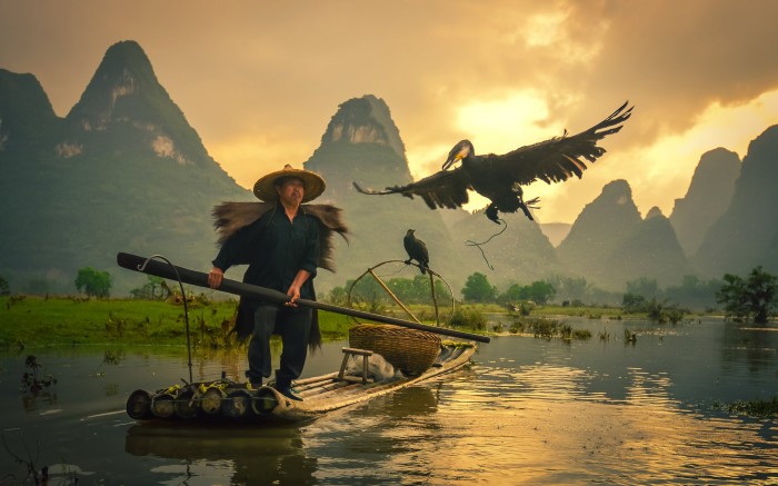 Hình ảnh tuyệt đẹp về người ngư dân đánh cá bằng chim cốc
