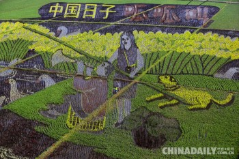Những tác phẩm nghệ thuật trên ruộng lúa
