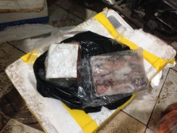 Hà Nội: Bắt giữ hơn 5 tấn hải sản quá "đát"