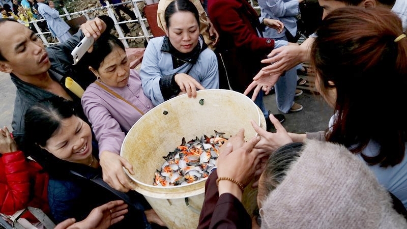 Đề nghị Bộ Công an làm rõ vụ phóng sinh cá xuống sông Hồng