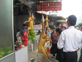 Hà Nội ra tay xử lý nạn "xẻ thịt thú rừng" ở lễ hội chùa Hương
