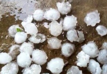 Mưa đá ở Hà Giang, 5 con trâu bị sét đánh chết