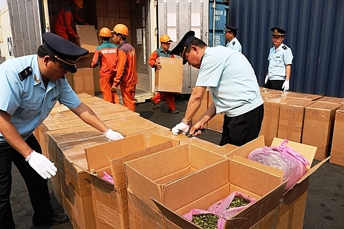 Hai tấn lá khát trong container nhập về cảng Hải Phòng