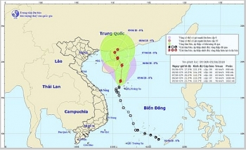 Áp thấp nhiệt đới trên biển Đông đã mạnh lên thành bão