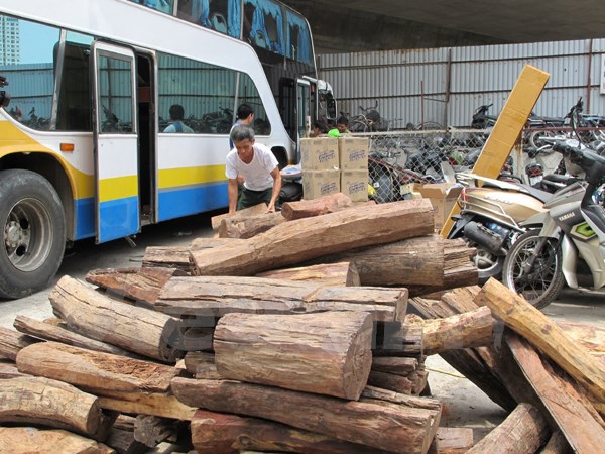 Phát hiện hơn 2 tấn gỗ lậu trên xe khách giường nằm