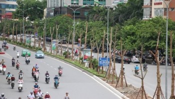 Chủ tịch Nguyễn Đức Chung: Phượng ở Hà Nội sẽ nở hoa quanh năm
