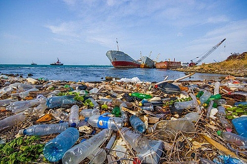 Tổng cục Biển và Hải đảo làm đầu mối quản lý rác thải nhựa đại dương