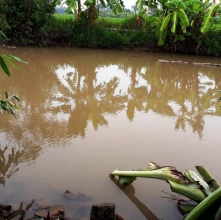 em re sat hai chi dau trong khach san roi tu tu