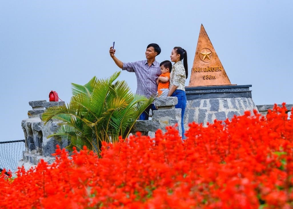 Đến Tây Ninh ngắm hoa tulip nở rực rỡ trên đỉnh núi Bà Đen Tết Nhâm Dần
