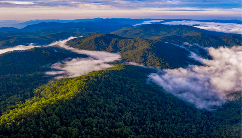 Khám phá ''Vườn quốc gia Bidoup - Núi Bà thu nhỏ'' - Lâm Đồng