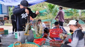 Phú Yên chú trọng phát triển kinh tế biển