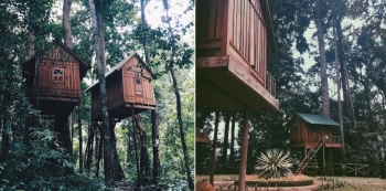 Trải nghiệm nhà trên cây độc đáo giữa núi rừng Tây Nguyên