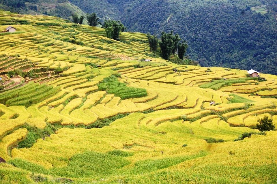 Suôi Thầu - thảo nguyên tươi đẹp ở Hà Giang