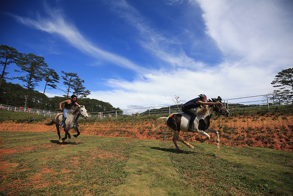 Độc đáo giải đua ngựa không yên ở Lạc Dương, Lâm Đồng