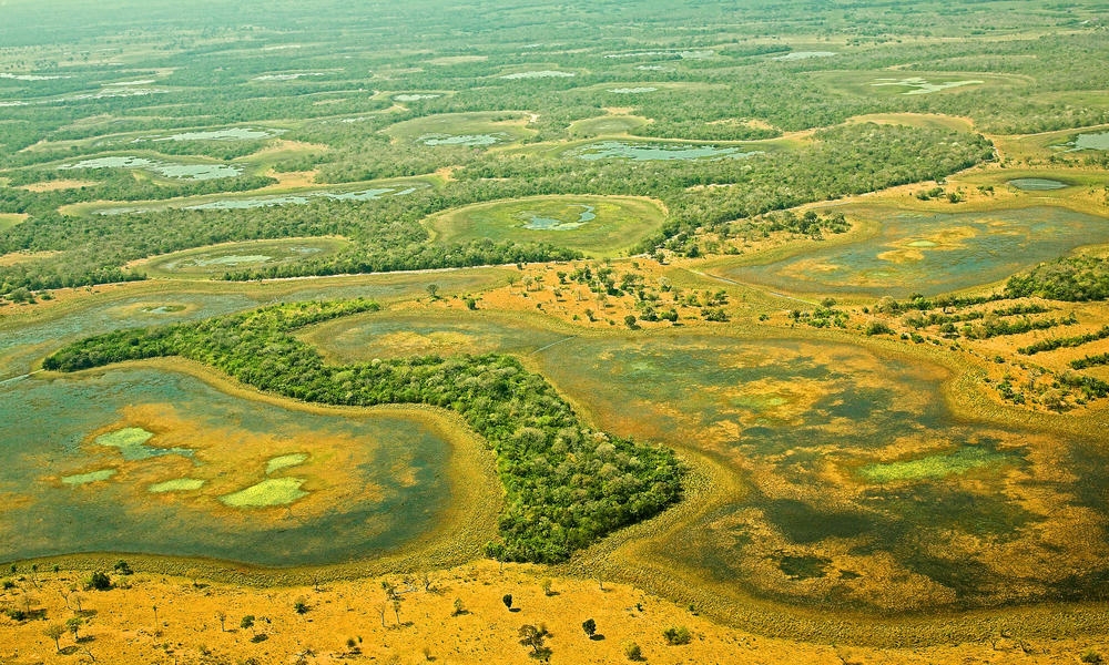 su that thu vi ve pantanal vung nuoc ngap man lon nhat the gioi