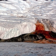 Bí mật của "thác Máu" xuất hiện ở Nam Cực