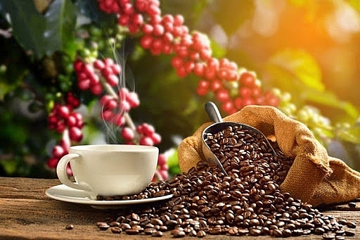 Giá cà phê hôm nay ngày 25/1/2021: Tiếp tục duy trì ở mức thấp