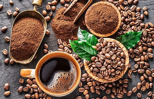 Giá cà phê hôm nay ngày 12/1/2021:  Thị trường trong nước và thế giới đều duy trì mức giá giảm mạnh