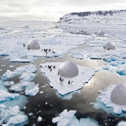 Hệ thống lều tuyết bảo vệ chim cánh cụt Hoàng đế ở Nam Cực
