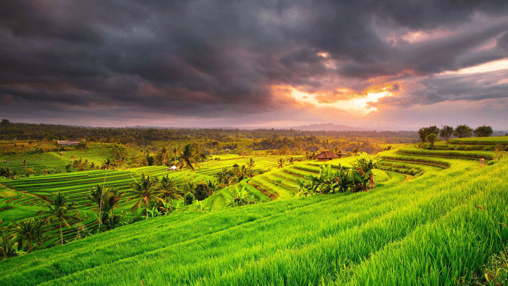 Bali hòn đảo thiên đường